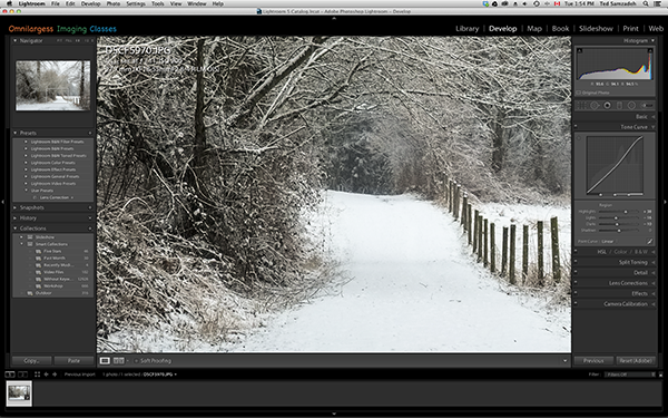 Using Brush Tool for applying Local adjustment in Lightroom is fun