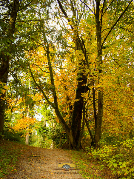 Come to outdoor photography class and learn how to the exposure for capturing outstanding Fall colours
