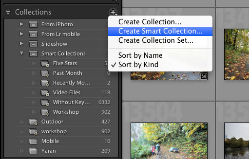 Add Lightroom Smart Collection by clicking the + sign