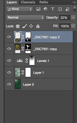 Photoshop Layers carnally change the look of an image 