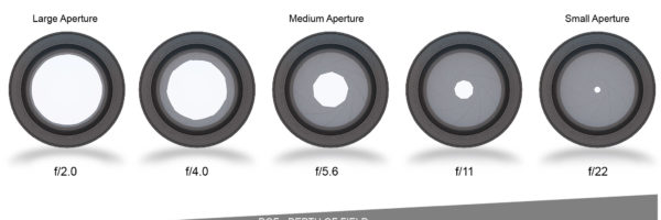 Aperture in Photography