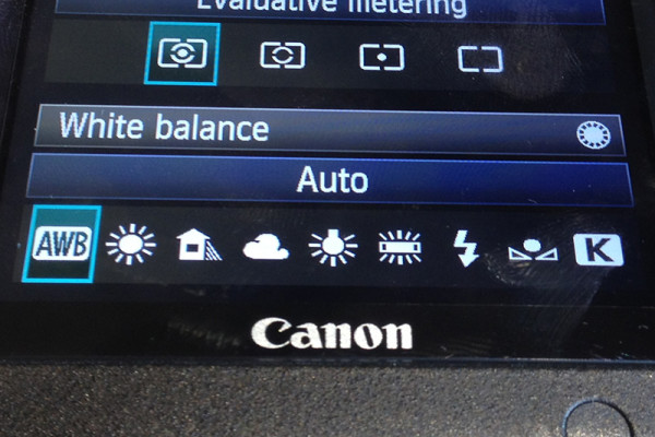 Almost all digital cameras are equipped with White balance Presets.