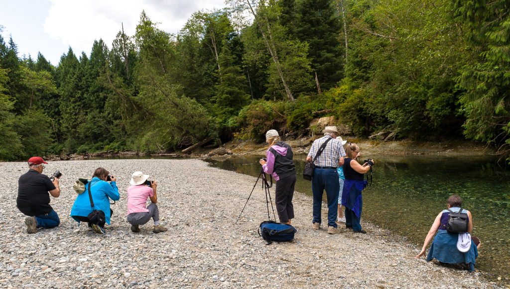 Photography Field Trip 1 TED 7128