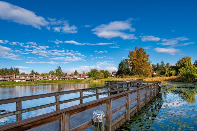 learning Photography