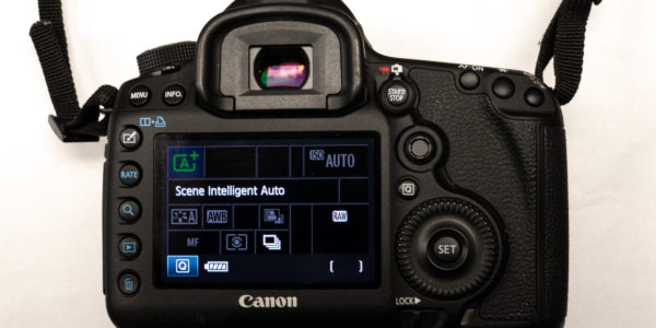 Auto Exposure Mode in Canon Cameras
