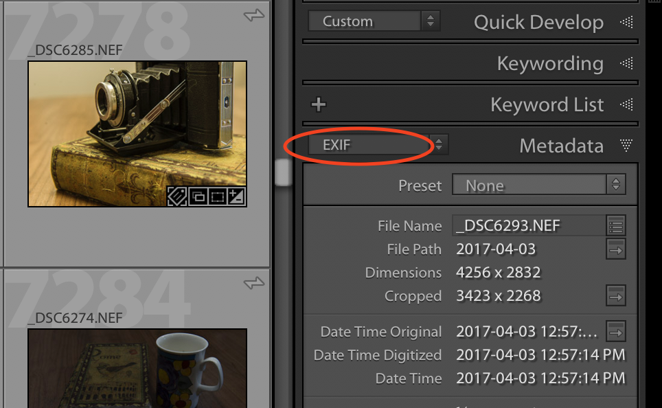 exif data in photo editing