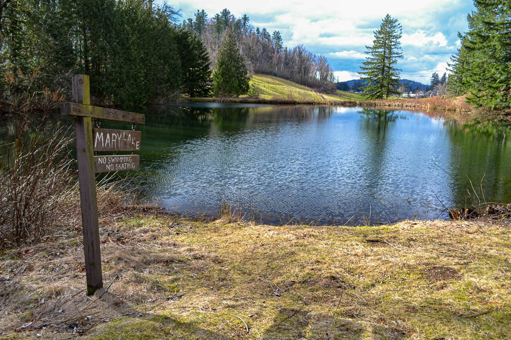 Effective Photography Skills