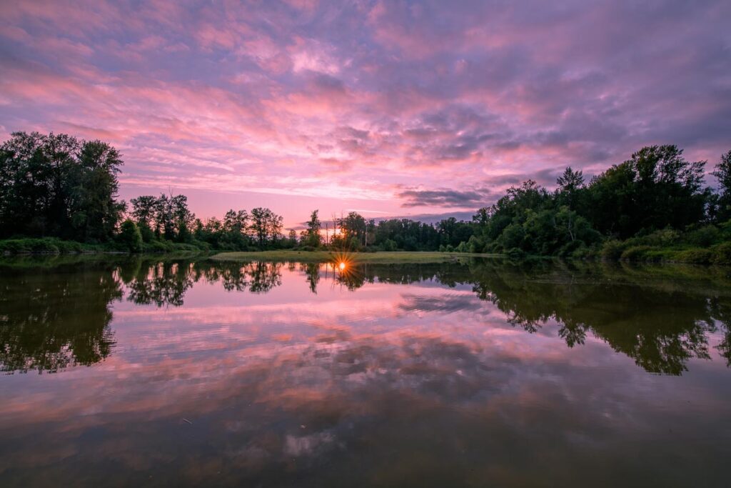 _DSC7302-2 Start digital photography